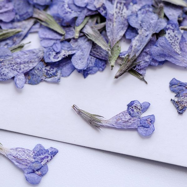 tongquan grass flower embossing plant specimen dry makeup kindergarten school manual activity material diy festival gift design
tongquan grass flower embossing plant specimen dry makeup kindergarten school manual activity material diy festival gift design