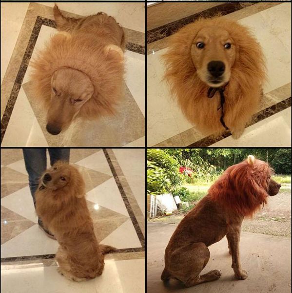 dog apparel 2021 hair ornaments pet costume halloween clothes fancy dress up lion mane wig for large dogs supplies
dog apparel 2021 hair ornaments pet costume halloween clothes fancy dress up lion mane wig for large dogs supplies