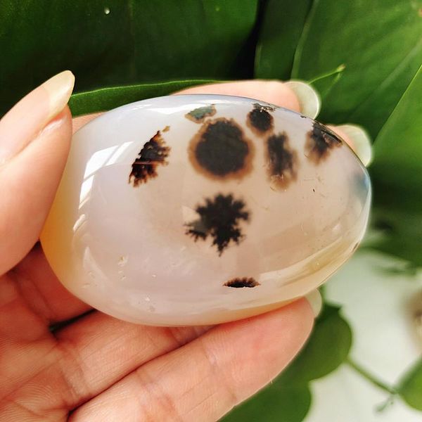 decorative objects & figurines natural water plant agate stonepalm stone plaything yoga exercise material
decorative objects & figurines natural water plant agate stonepalm stone plaything yoga exercise material