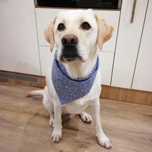 dog apparel pet neckerchief scarf waterproof christmas cat bandana bibs collar saliva towel cotton triangle
dog apparel pet neckerchief scarf waterproof christmas cat bandana bibs collar saliva towel cotton triangle