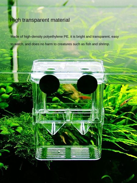 aquariums fish pet accessories aquarium incubator box tank isolation guppy 
aquariums fish pet accessories aquarium incubator box tank isolation guppy