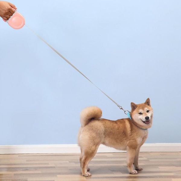 pet rope automatic retractable wear-resistant dog traction leash with handle collars & leashes
pet rope automatic retractable wear-resistant dog traction leash with handle collars & leashes
