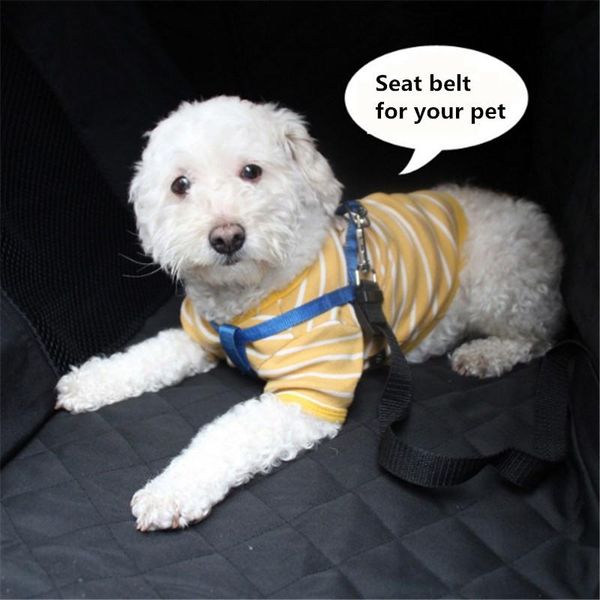 luxury pet car seat cover with anchors for cars, trucks, and suv's - black, mesh, waterproof & nonslip backing kennels pens
luxury pet car seat cover with anchors for cars, trucks, and suv's - black, mesh, waterproof & nonslip backing kennels pens