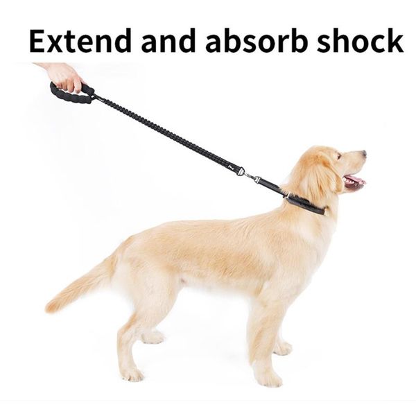 dog collars & leashes ocardian leads high-elastic chain traction rope belt pet big drop 2021
dog collars & leashes ocardian leads high-elastic chain traction rope belt pet big drop 2021