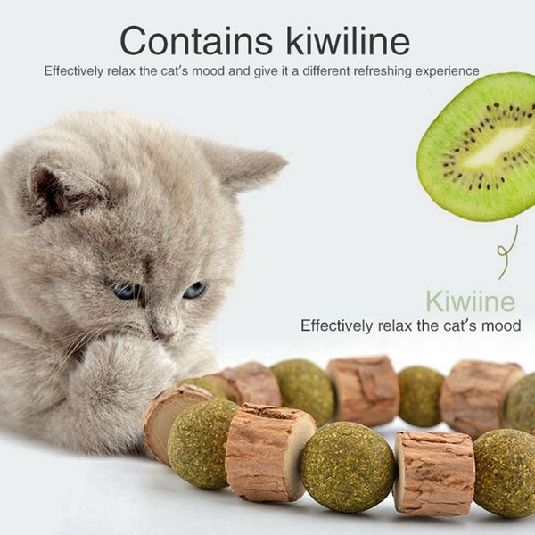 cat toys 2021 pet natural catnip ball treat toy durable elastic necklace chew teeth cleaning for
cat toys 2021 pet natural catnip ball treat toy durable elastic necklace chew teeth cleaning for