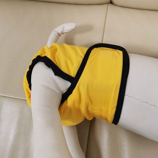 dog apparel physiological pants diaper sanitary washable female panties safety briefs puppy shorts underwear
dog apparel physiological pants diaper sanitary washable female panties safety briefs puppy shorts underwear