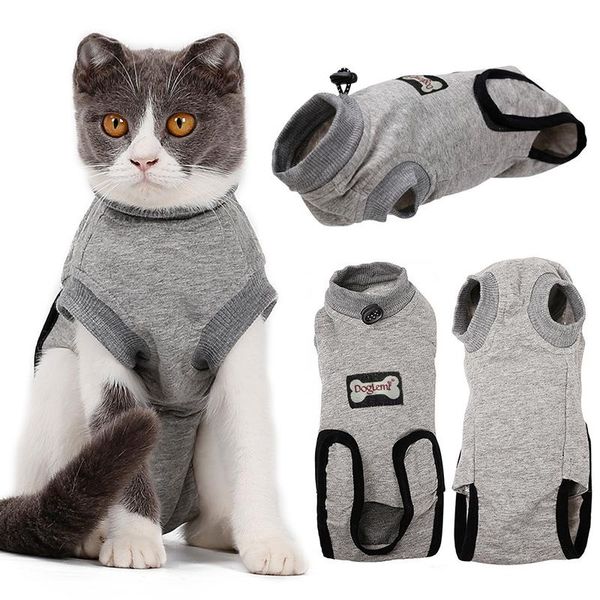 soft pet cat clothes recovery suit after clothing wound anti-mite sterilization supplies costumes
soft pet cat clothes recovery suit after clothing wound anti-mite sterilization supplies costumes