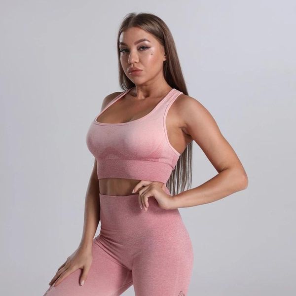 ombre seamless sports bra for women gym workout training push up yoga padded outfit
ombre seamless sports bra for women gym workout training push up yoga padded outfit