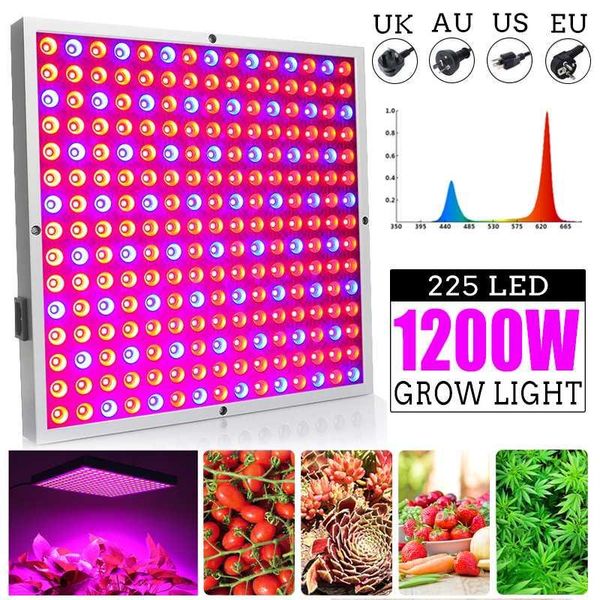phyto lamps led grow light full spectrum plant lighting for plants flowers seedling cultivation lights
phyto lamps led grow light full spectrum plant lighting for plants flowers seedling cultivation lights