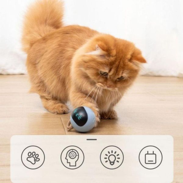 cat toys wholesale pet smart interactive toy colorful led self rotating ball usb rechargeable kitten electronic
cat toys wholesale pet smart interactive toy colorful led self rotating ball usb rechargeable kitten electronic