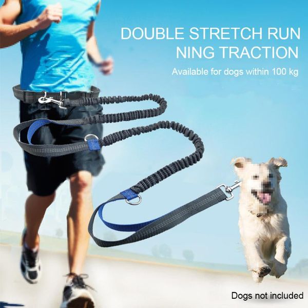 walking sports for running dog lead reflective tape jogging traction rope harnesses waist pet leash elastic chain adjustable collars & leash
walking sports for running dog lead reflective tape jogging traction rope harnesses waist pet leash elastic chain adjustable collars & leash