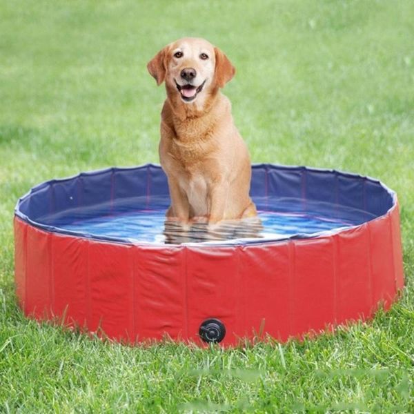kennels & pens 80x20cmpvc foldable pet dog cat swimming pool washing pond tub bed large small house summer
kennels & pens 80x20cmpvc foldable pet dog cat swimming pool washing pond tub bed large small house summer