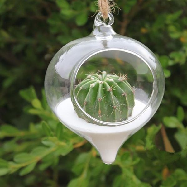 vases flower hanging vase glass planter ball sshaped plant terrarium container home wedding decor garden lawn
vases flower hanging vase glass planter ball sshaped plant terrarium container home wedding decor garden lawn