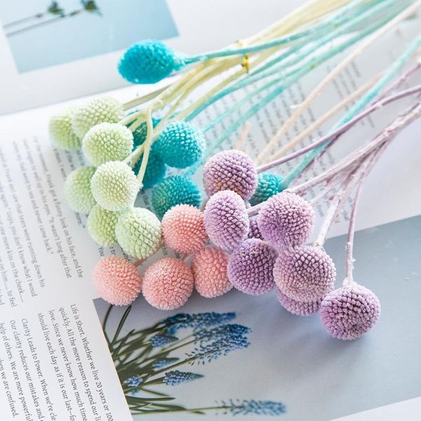 decorative flowers & wreaths 20pcs billy golden ball craspedia globosa preserved dried flower pograph home deskoffice garde
decorative flowers & wreaths 20pcs billy golden ball craspedia globosa preserved dried flower pograph home deskoffice garde