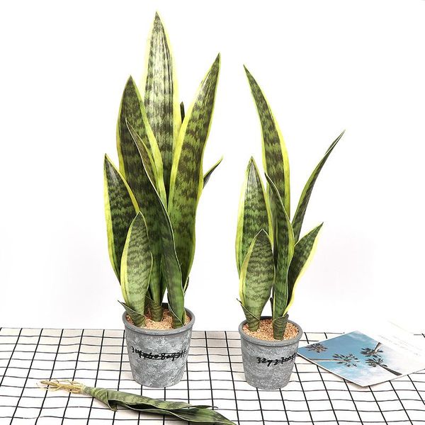 decorative flowers & wreaths 66cm artificial realistic succulent plants indoor tiger fur potted tropical fake long leaf bonsai office el bal
decorative flowers & wreaths 66cm artificial realistic succulent plants indoor tiger fur potted tropical fake long leaf bonsai office el bal
