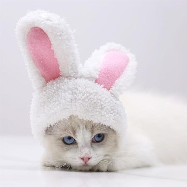 cat collars & leads ear hats costume hat party headwear headgear warm pet cute cats for household animal horse decoration
cat collars & leads ear hats costume hat party headwear headgear warm pet cute cats for household animal horse decoration