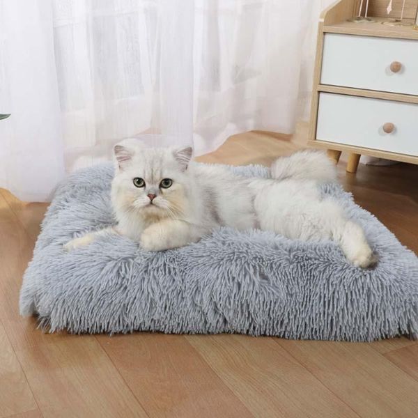 cat beds & furniture 2021 trendy dog cushion plush comfortable and warm pet bed supplies
cat beds & furniture 2021 trendy dog cushion plush comfortable and warm pet bed supplies