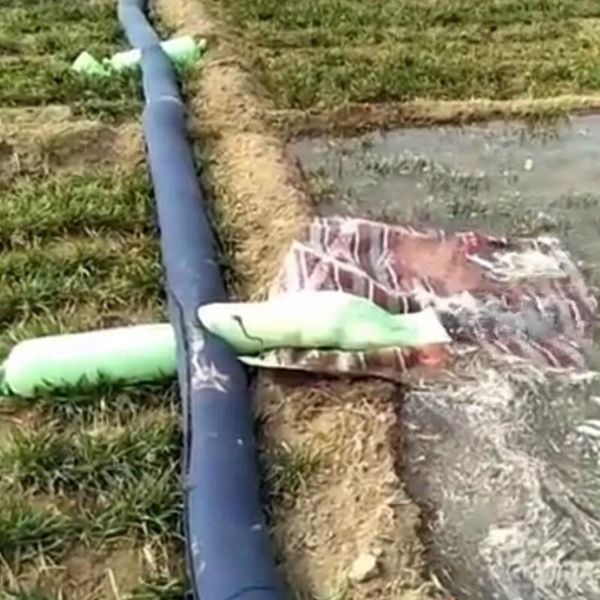 watering equipments 10m 5" irrigation cloth pipe large scale farm furrow land system water agricultural tape easy use
watering equipments 10m 5" irrigation cloth pipe large scale farm furrow land system water agricultural tape easy use