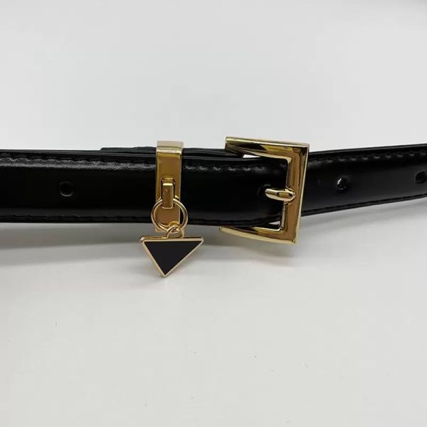 womens designer belts for women gold needle buckle letter triangle luxury belt woman waistband ladies cintura ceinture 2.0cm width 105cm, Black;brown
womens designer belts for women gold needle buckle letter triangle luxury belt woman waistband ladies cintura ceinture 2.0cm width 105cm, Black;brown