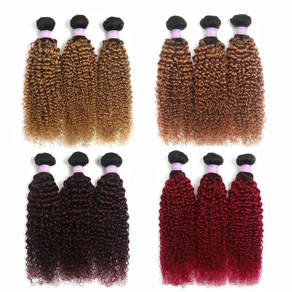 human hair bulks 1b 99j/burgundy red kinky curly weave bundles brazilian 3/4 pcs remy extension kemy, Black
human hair bulks 1b 99j/burgundy red kinky curly weave bundles brazilian 3/4 pcs remy extension kemy, Black