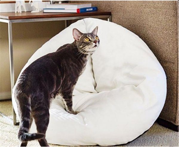 collapsible soft plush cat dog bed, marshmellow donut bed fall and winter self warming indoor pet perch house cushion beds & furniture
collapsible soft plush cat dog bed, marshmellow donut bed fall and winter self warming indoor pet perch house cushion beds & furniture