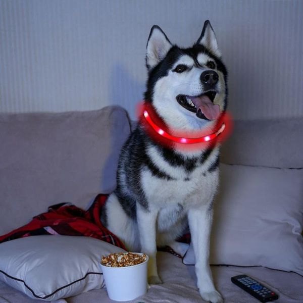 rechargeable flashing night dog collars luminous pet collar led light usb glowing teddy flash #zer & leashes
rechargeable flashing night dog collars luminous pet collar led light usb glowing teddy flash #zer & leashes