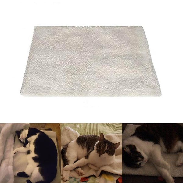 kennels & pens innovative high-quality coral velvet cat and dog self-heating blanket environmentally-friendly heating
kennels & pens innovative high-quality coral velvet cat and dog self-heating blanket environmentally-friendly heating