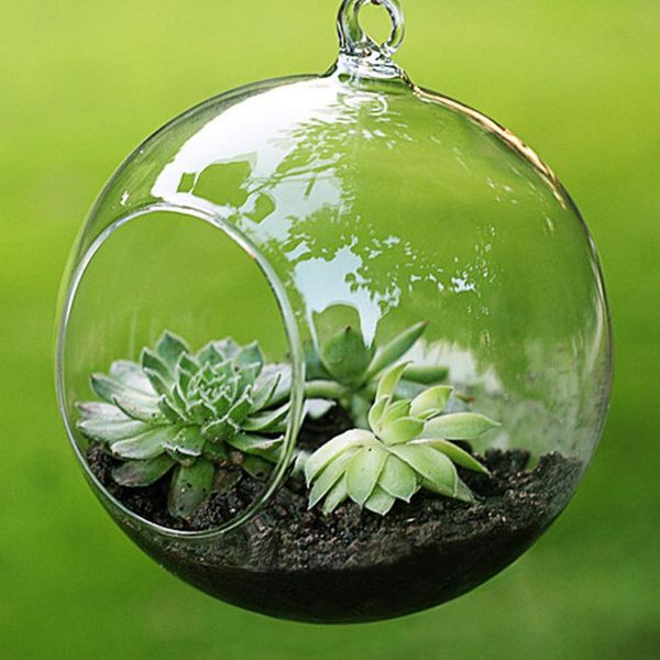 vases transparent clear glass round terrarium flower plant stand hanging vase hydroponic home office wedding decor f1
vases transparent clear glass round terrarium flower plant stand hanging vase hydroponic home office wedding decor f1