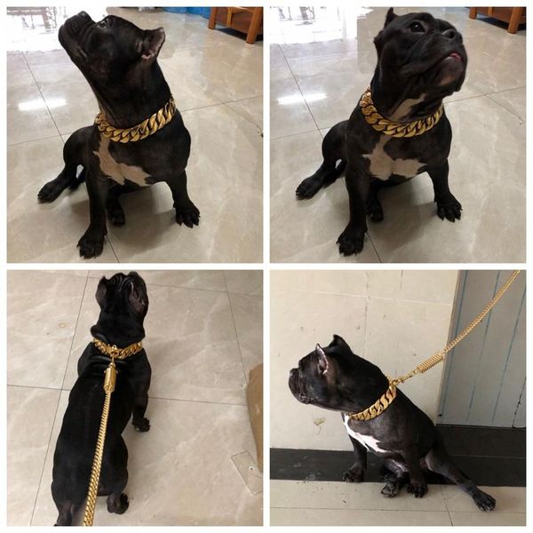 dog collars & leashes luxury chain 32mm large gold medium and necklace bully collar 24k stainless steel pet
dog collars & leashes luxury chain 32mm large gold medium and necklace bully collar 24k stainless steel pet