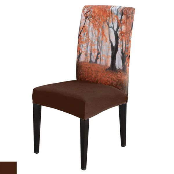 chair covers modern dining cover forest autumn jungle scenery print home table chairs for kitchen tablecloth
chair covers modern dining cover forest autumn jungle scenery print home table chairs for kitchen tablecloth