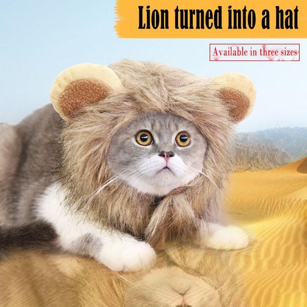winter cat ddog halloween costume lion style hat handsome pet clothes supplies costumes
winter cat ddog halloween costume lion style hat handsome pet clothes supplies costumes