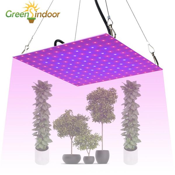 led grow light full spectrum phytolamp for indoor plant seedlings flower tent blue red panel lights smd2835
led grow light full spectrum phytolamp for indoor plant seedlings flower tent blue red panel lights smd2835