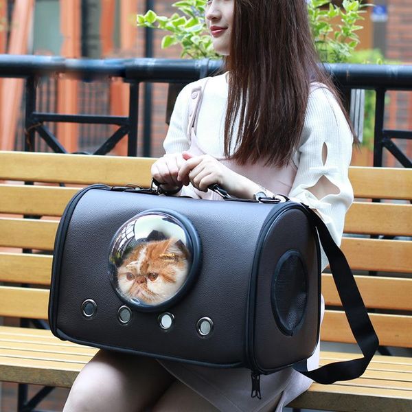 transparent laser cat bag pet out cage portable dog backpack handbags products car seat covers
transparent laser cat bag pet out cage portable dog backpack handbags products car seat covers