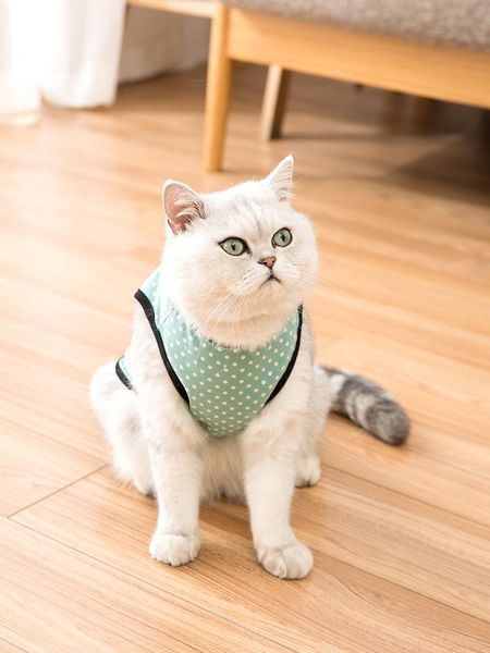 simple solid color pet cat clothes hoodie cute autumn sweatshirt warm jacket basic ropa para mascotas kitten dd60yf costumes
simple solid color pet cat clothes hoodie cute autumn sweatshirt warm jacket basic ropa para mascotas kitten dd60yf costumes