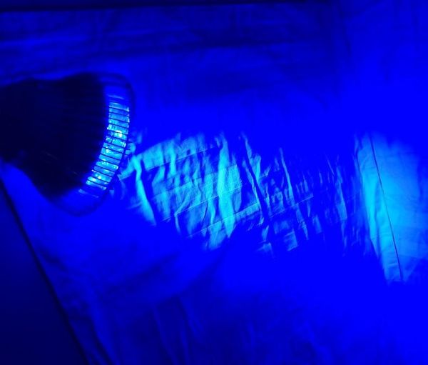 aquariums lighting dimmbale led aquarium light pet fish tank lamp plant bulb 50/54w for saltwater marine coral reef sump algae
aquariums lighting dimmbale led aquarium light pet fish tank lamp plant bulb 50/54w for saltwater marine coral reef sump algae