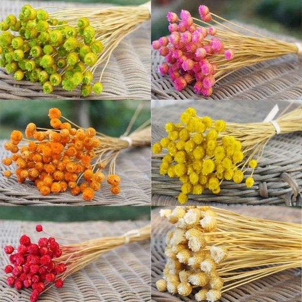 50pcs real happy flower small natural dried flowers bouquet diy home wedding floral decor office decor
50pcs real happy flower small natural dried flowers bouquet diy home wedding floral decor office decor