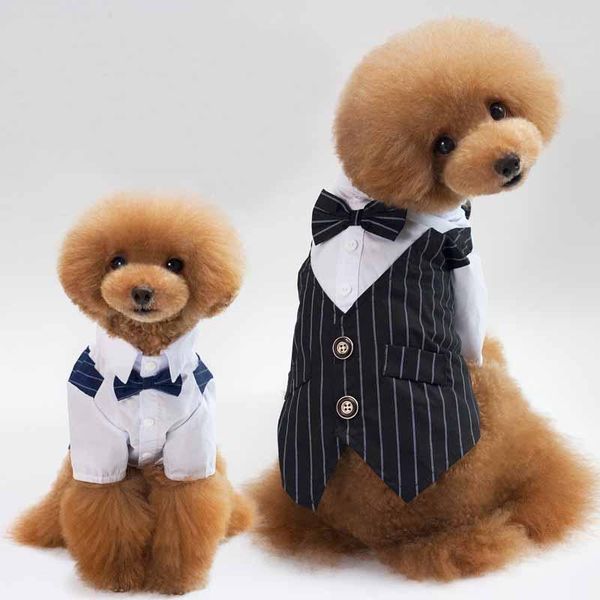 male dog clothes boy suit tuxedo coat jacket puppy pet wedding dress small chihuahua costume apparel
male dog clothes boy suit tuxedo coat jacket puppy pet wedding dress small chihuahua costume apparel