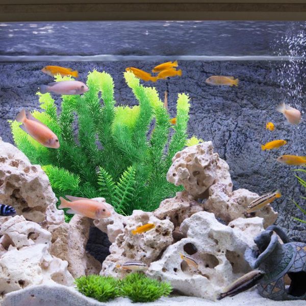 artificial plastic green plants aquarium decorative aquatic fish tank ornament plant decorations
artificial plastic green plants aquarium decorative aquatic fish tank ornament plant decorations