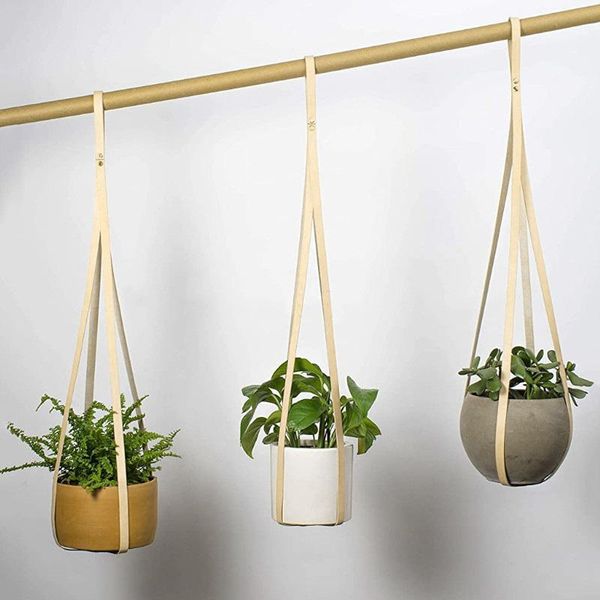 leather plant pot hanger modern hanging planter for wall indoor house plants cactus and succulent holder other garden supplies
leather plant pot hanger modern hanging planter for wall indoor house plants cactus and succulent holder other garden supplies