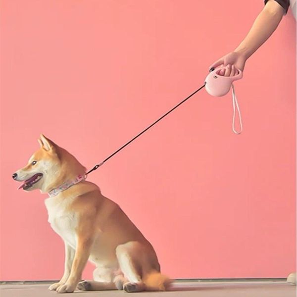 automatictelescopic dog leash collars small mid size dogs harness rope length 5 meters y retractable accessories & leashes
automatictelescopic dog leash collars small mid size dogs harness rope length 5 meters y retractable accessories & leashes