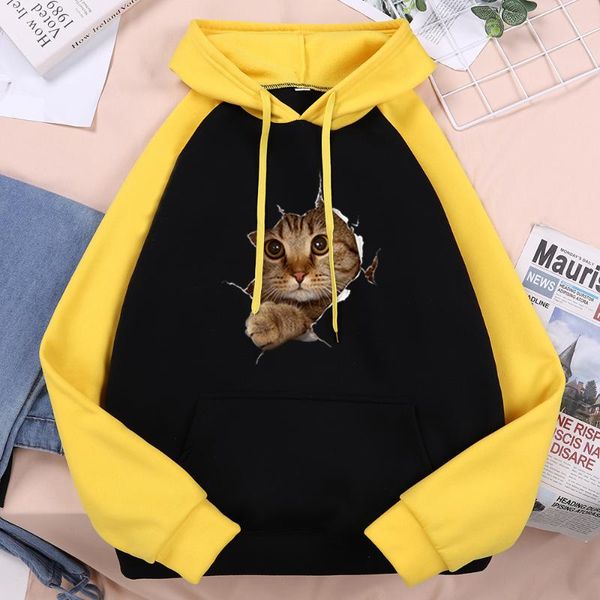 lovely probe cat po printed women hoodie comfort fleece hoody hip hop loose hoodies 2021 spring gothic woman raglan hooded women's & sw, Black
lovely probe cat po printed women hoodie comfort fleece hoody hip hop loose hoodies 2021 spring gothic woman raglan hooded women's & sw, Black