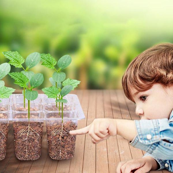 seedling plant nursery box garden gardening flower pot germination growth starter jardin seeds planters & pots
seedling plant nursery box garden gardening flower pot germination growth starter jardin seeds planters & pots