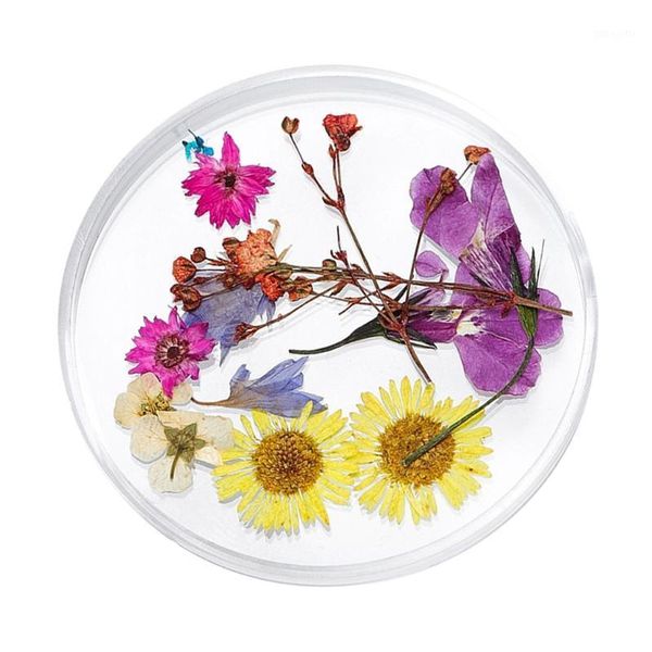 decoration real natural dried flower for uv gel acrylic nail tips decors1, Silver;gold
decoration real natural dried flower for uv gel acrylic nail tips decors1, Silver;gold