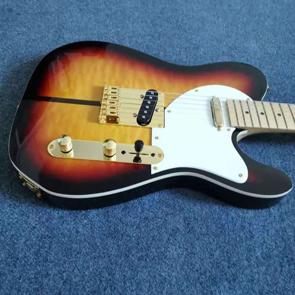 dog electric guitar aaa cloud maple golden hardware black circle yellow maple fingerboard
dog electric guitar aaa cloud maple golden hardware black circle yellow maple fingerboard