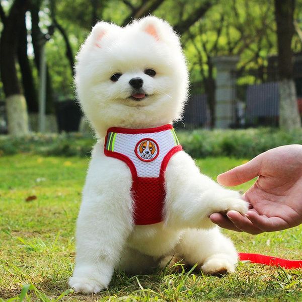 cross-border selling dog cat breathable traction rope reflective pet chest strap puppy spot wholesale collars & leashes
cross-border selling dog cat breathable traction rope reflective pet chest strap puppy spot wholesale collars & leashes