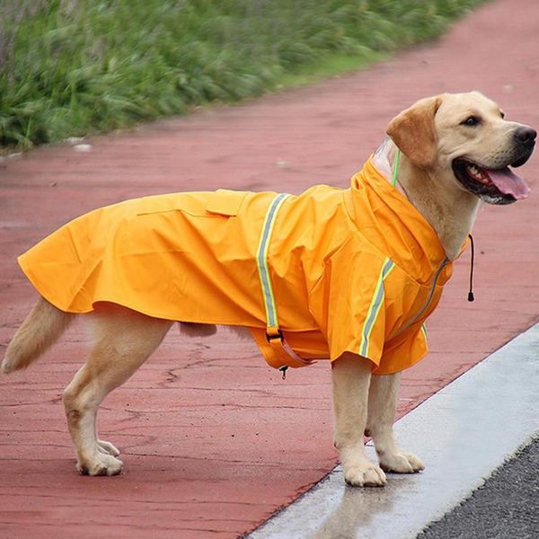 big dog raincoat golden retriever samoyed labrador medium-sized large pet four-legged waterproof all-inclusive poncho apparel
big dog raincoat golden retriever samoyed labrador medium-sized large pet four-legged waterproof all-inclusive poncho apparel
