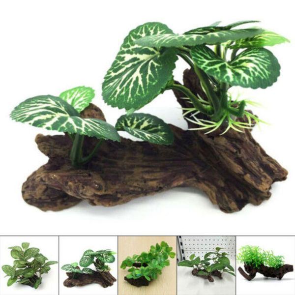 aquarium plant aquatic water grass decoration artificial underwater plants fish tank decor green landscaping ornament decorations
aquarium plant aquatic water grass decoration artificial underwater plants fish tank decor green landscaping ornament decorations
