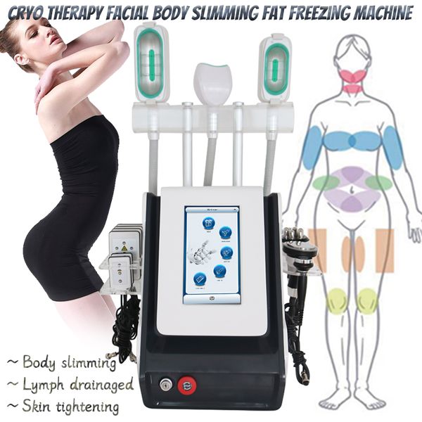 cryolipolysis fat e machine lipolaser salon use cryotherapy lipo laser ultrasonic cavitation rf slimming beauty equipment
cryolipolysis fat e machine lipolaser salon use cryotherapy lipo laser ultrasonic cavitation rf slimming beauty equipment