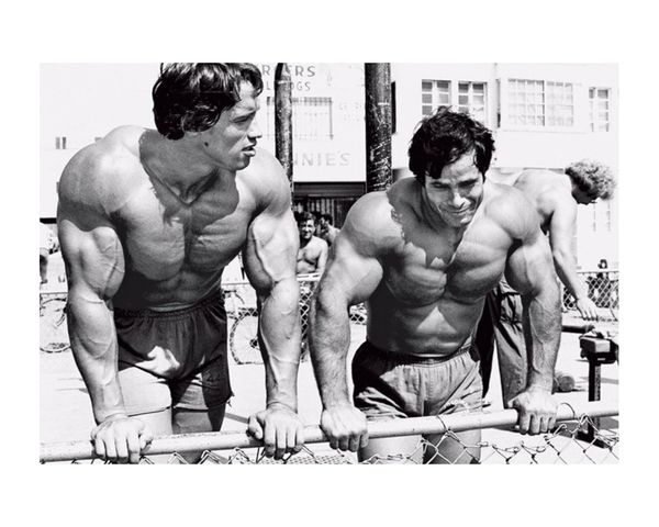Franco Columbu Poster Painting Print Home Decor Framed Or Unframed Photopaper Material
Franco Columbu Poster Painting Print Home Decor Framed Or Unframed Photopaper Material