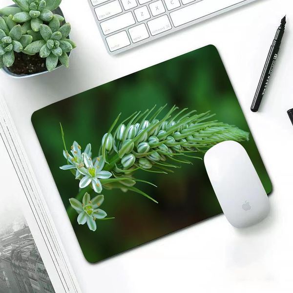 mouse pads & wrist rests flowers green leaves small gaming pad 180x220/250x290mm mousepad gamer computer desk mat for pc
mouse pads & wrist rests flowers green leaves small gaming pad 180x220/250x290mm mousepad gamer computer desk mat for pc
